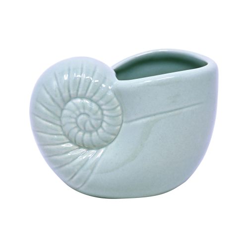 Conchiglia cache pot carta zucchero - 2 pz.