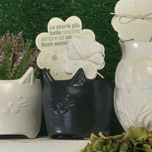 Gattino di colore nero con carta piantabile - 2 pz.