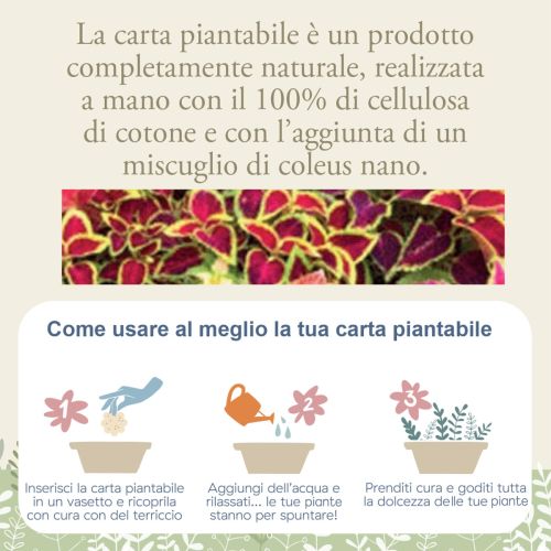 Cagnolino colore nocciola con carta piantabile - 2 pz.