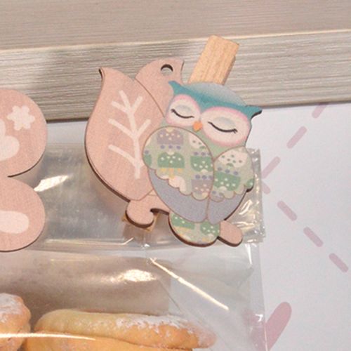 Molletta chiudi pacco gufo - 6 pz.