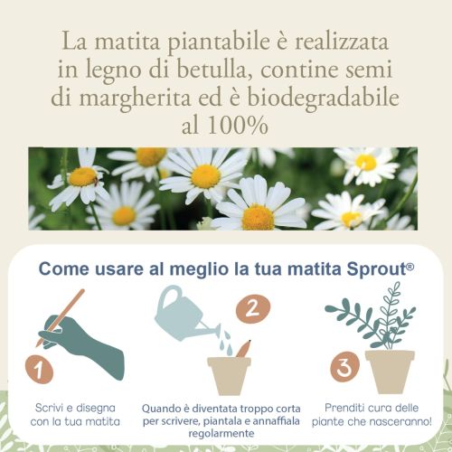 Decorazione farfalla con matita piantabile