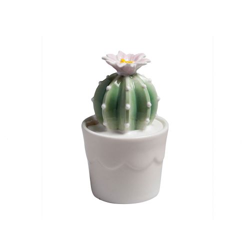 Cactus - 2 pz.