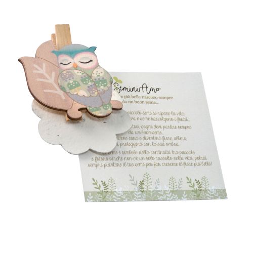 Mollettina chiudi pacco gufo con carta piantabile - 6 pz.