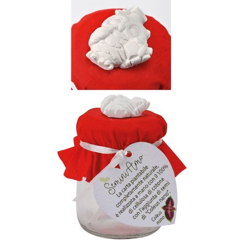 Barattolino di vetro con gesso "gufo laurea"+ carta piantabile - 6 pz.