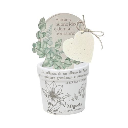 Cachepot "magnolia"+ carta piantabile - 2 pz.