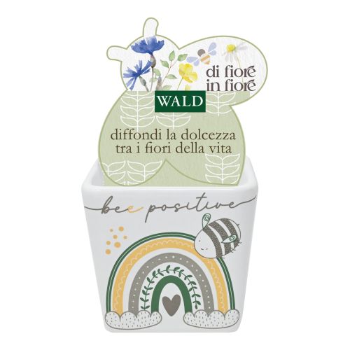 Cache pot "bee positive" - 2 pz.