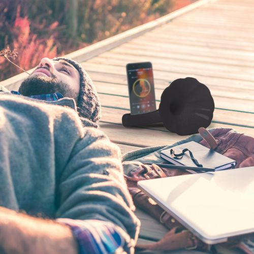 Diffusore suono grammofono nero