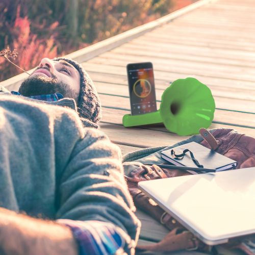 Diffusore suono grammofono verde