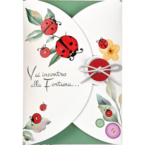 Biglietto coccinella