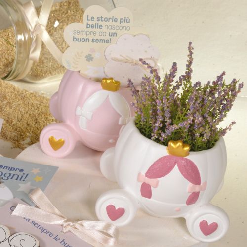 Carrozza principessa rosa con carta piantabile - 2 pz.