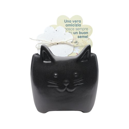 Gattino di colore nero con carta piantabile - 2 pz.