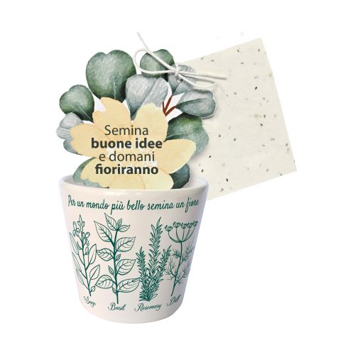 Cache pot piante aromatiche - 2 pz.