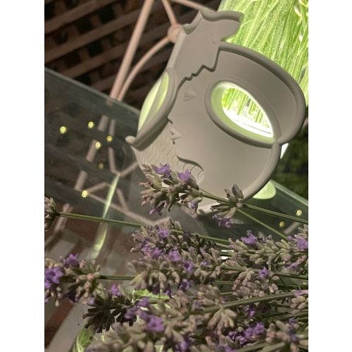 Lampada, vaso sentimento colore tortora